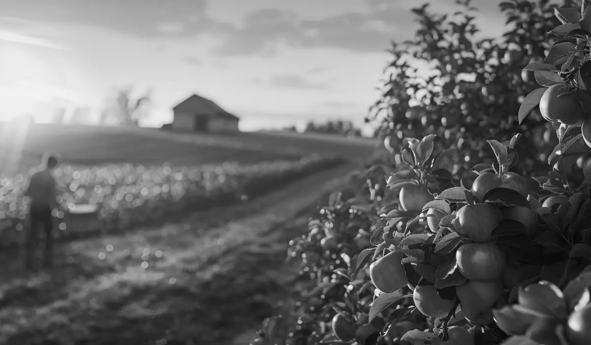 020226_Is investing in land a good idea__visual 2