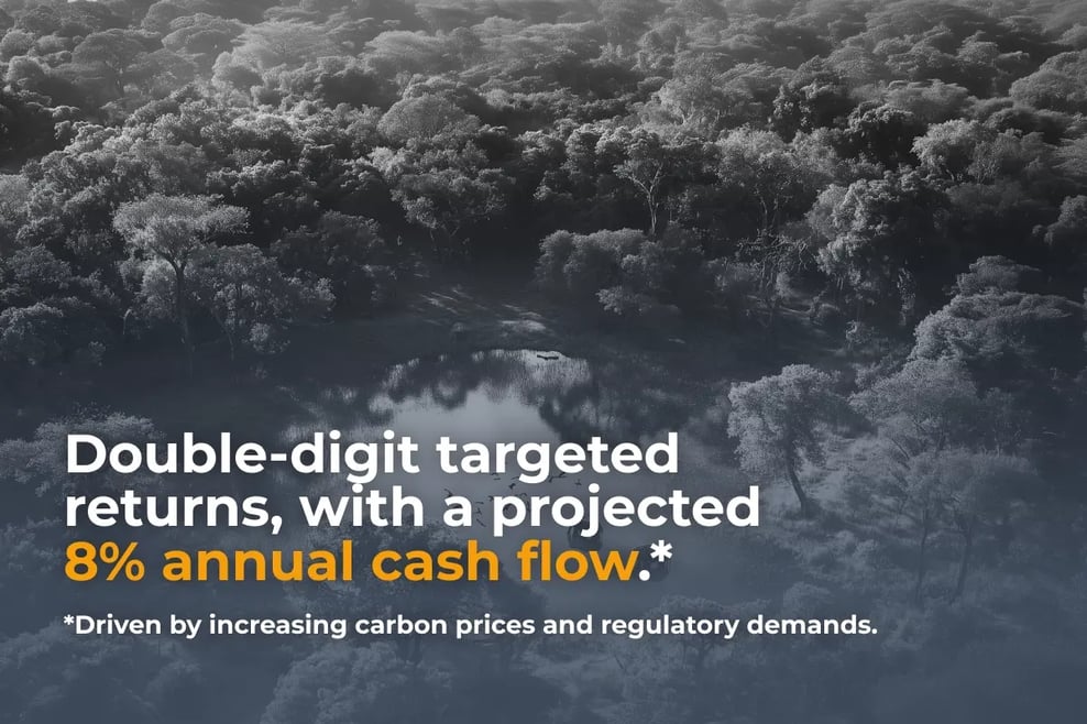 050525_Carbon Credit Funds in Your IRA_visual 10