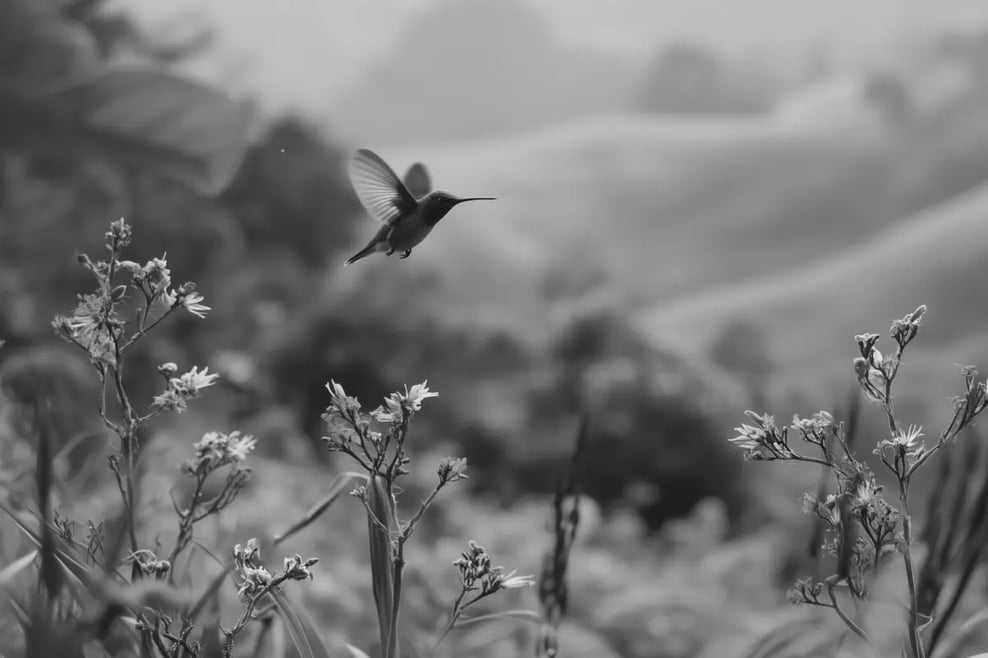 050525_Carbon Credit Funds in Your IRA_visual 9