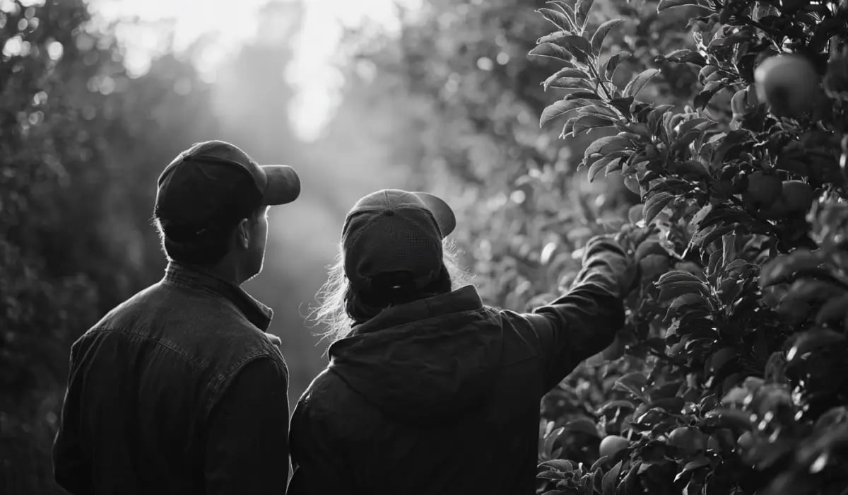 10 Benefits of early stage investment strategies_visual 3