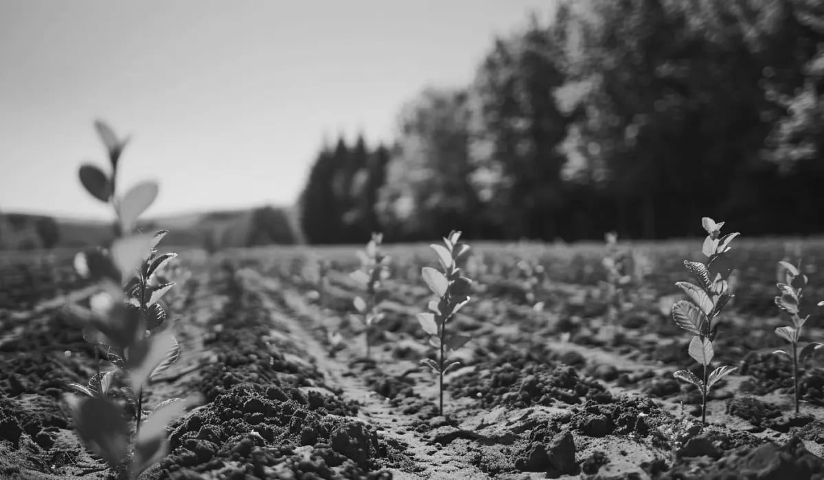 10 Benefits of early stage investment strategies_visual 4