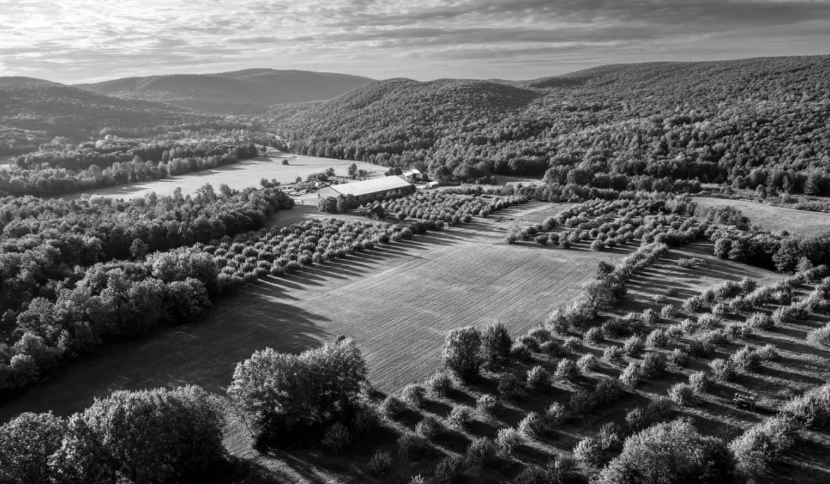 230226_How to evaluate investment opportunities_visual 1&featured (3)