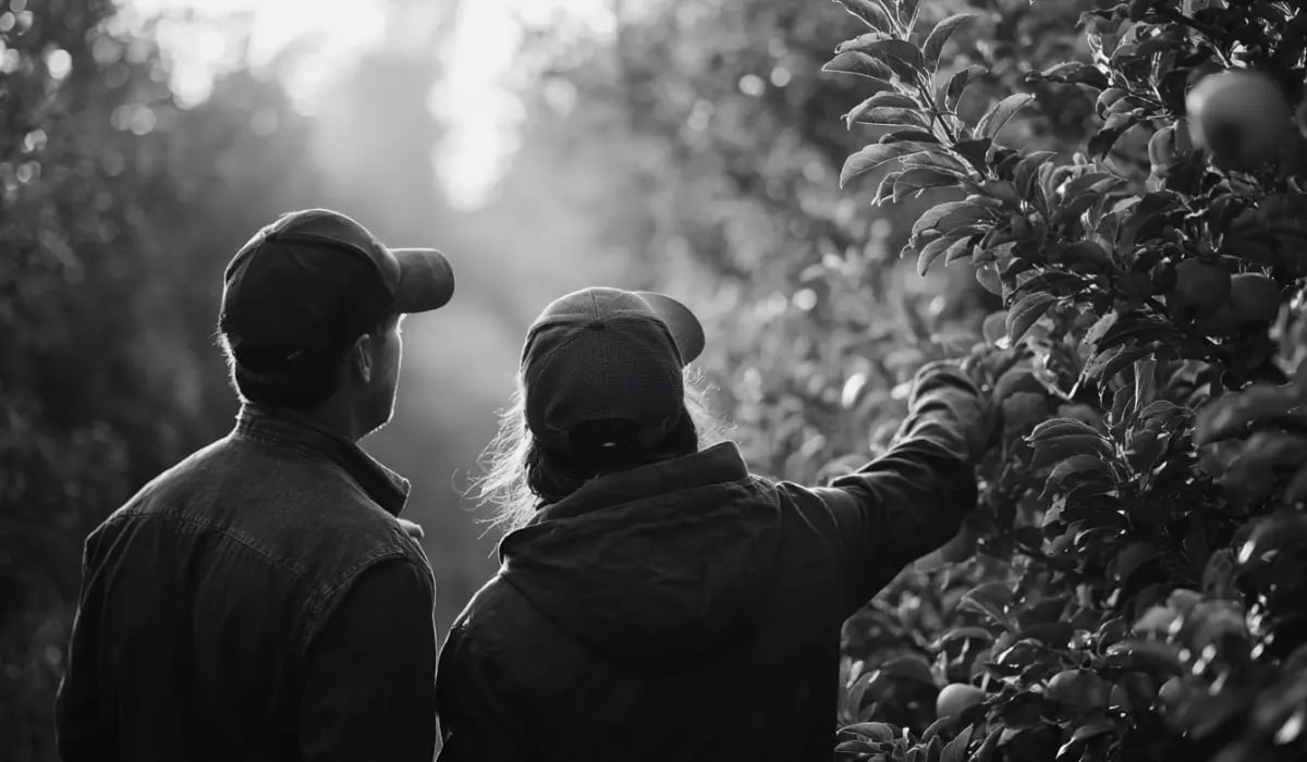 230226_How to evaluate investment opportunities_visual 1&featured (4)