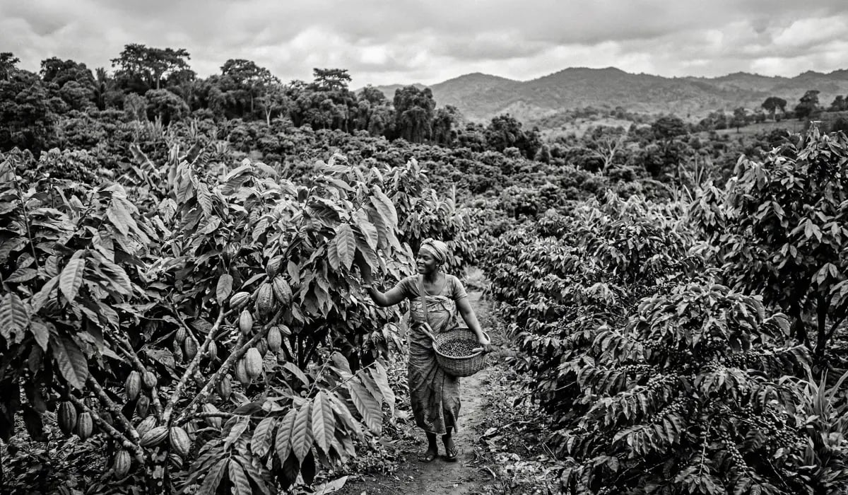 230326_Beyond the 60_40 portfolio_Blog FMF_visual 3