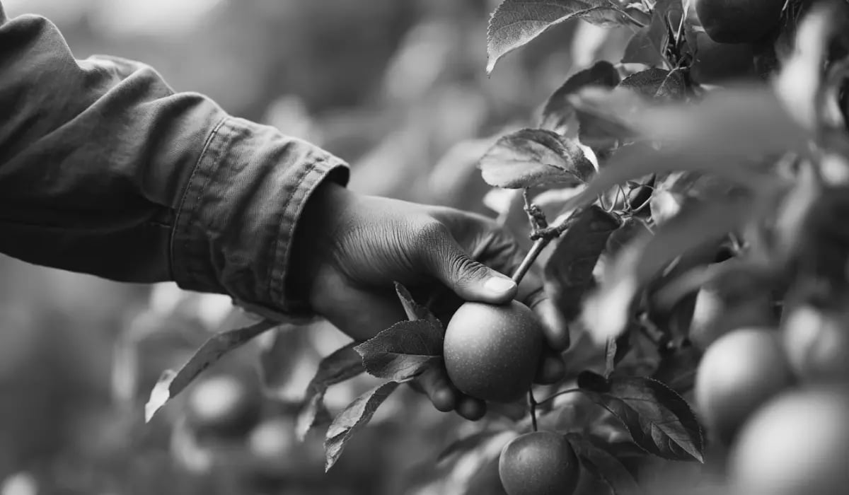 5 Reasons why environmental commodities are the future_visual 5