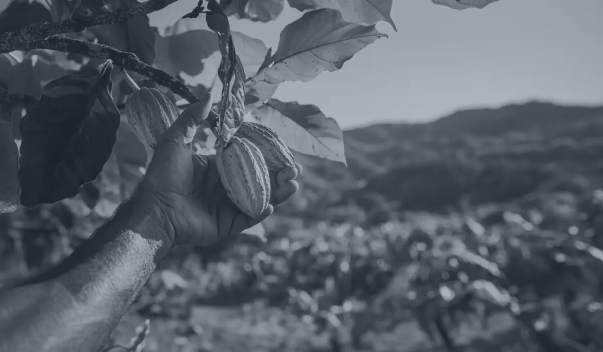 Benefits of investing in regenerative agriculture_visual 5