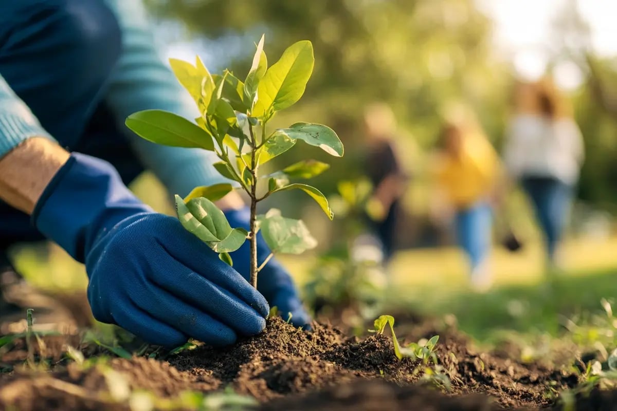 Gold vs carbon credits_ who will outperform_Close-up of a park worker planting a young tree, with a happy family walking in the background_visual 6