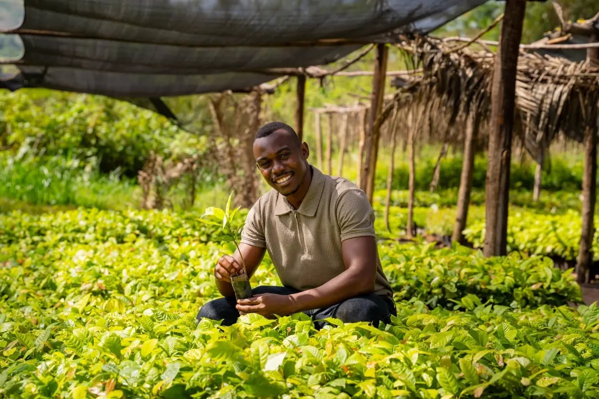 Gold vs carbon credits_ who will outperform_visual 2