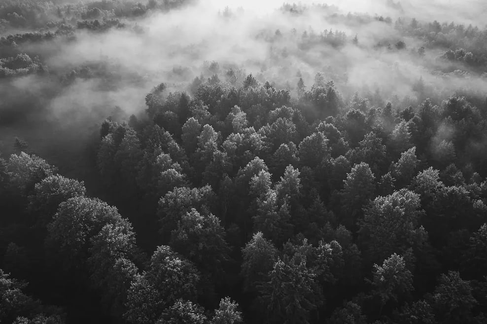 How to become an accredited investor in the US_visual 4-1