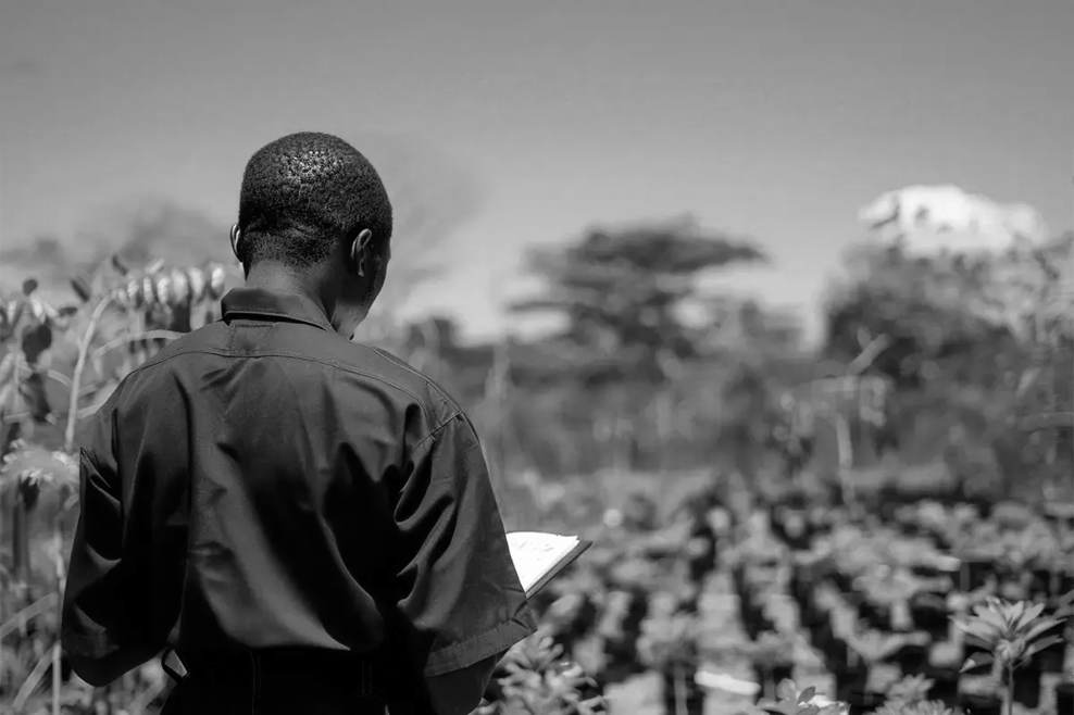 How to invest in carbon credits_A nursery worker during project verification_visual 5-2 1