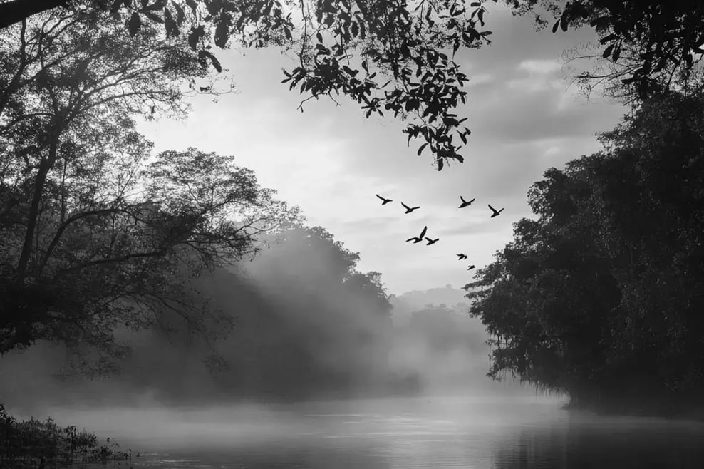 Strategic investment profiting from investing in carbon credits_visual 3-Apr-07-2025-05-10-42-8079-PM 1