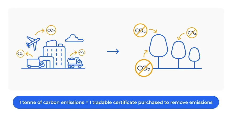 US Case studies_visual 2_FMF