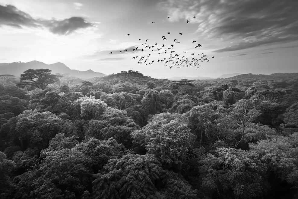 US Case studies_visual 9