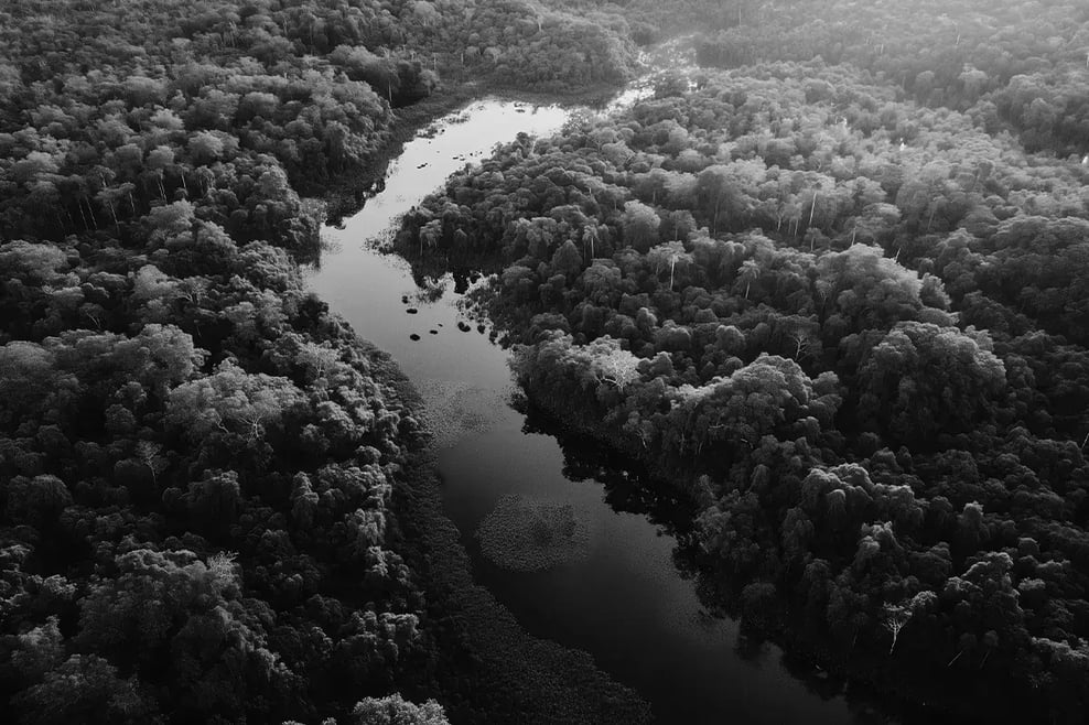 Understanding the Economic Impact of Carbon Credits_visual 4-2 1