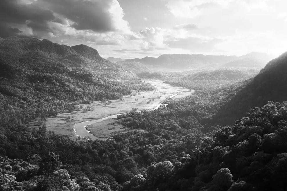 Why Carbon Credit Funds Are the Future of Sustainable Investing_visual 5