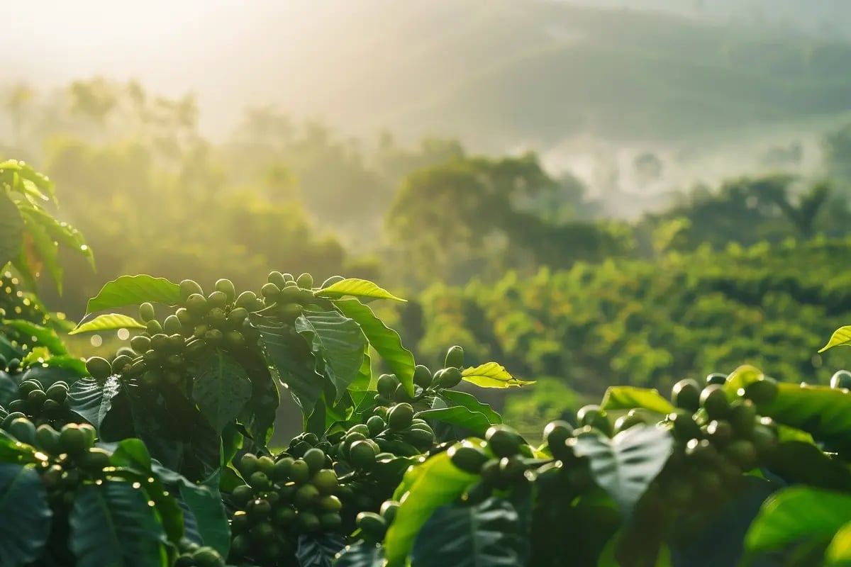 Why carbon is the hottest commodity nobody understands (yet)_visual 2