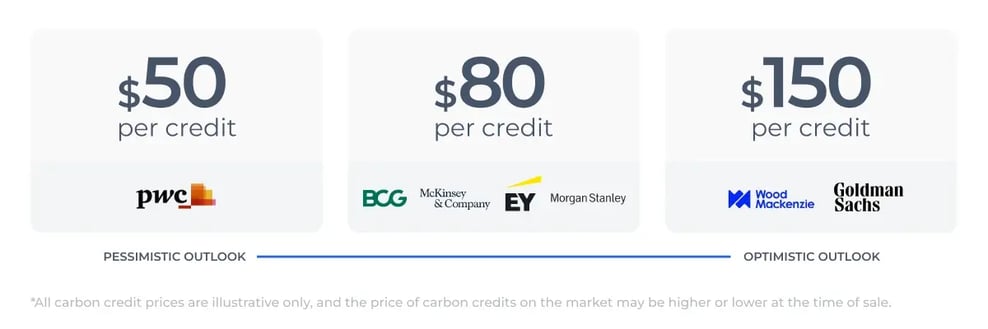 Why carbon is the hottest commodity nobody understands (yet)_visual 4_FMF