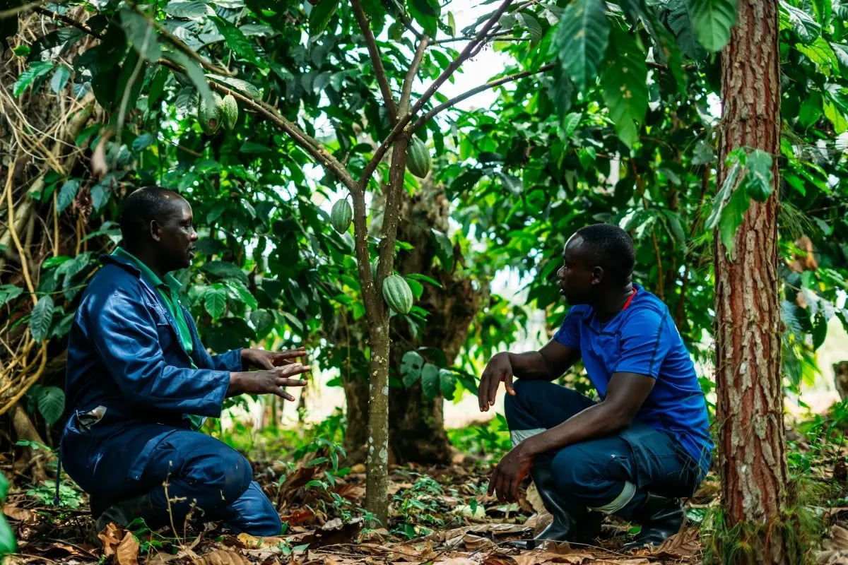 Why carbon is the hottest commodity nobody understands (yet)_visual 6