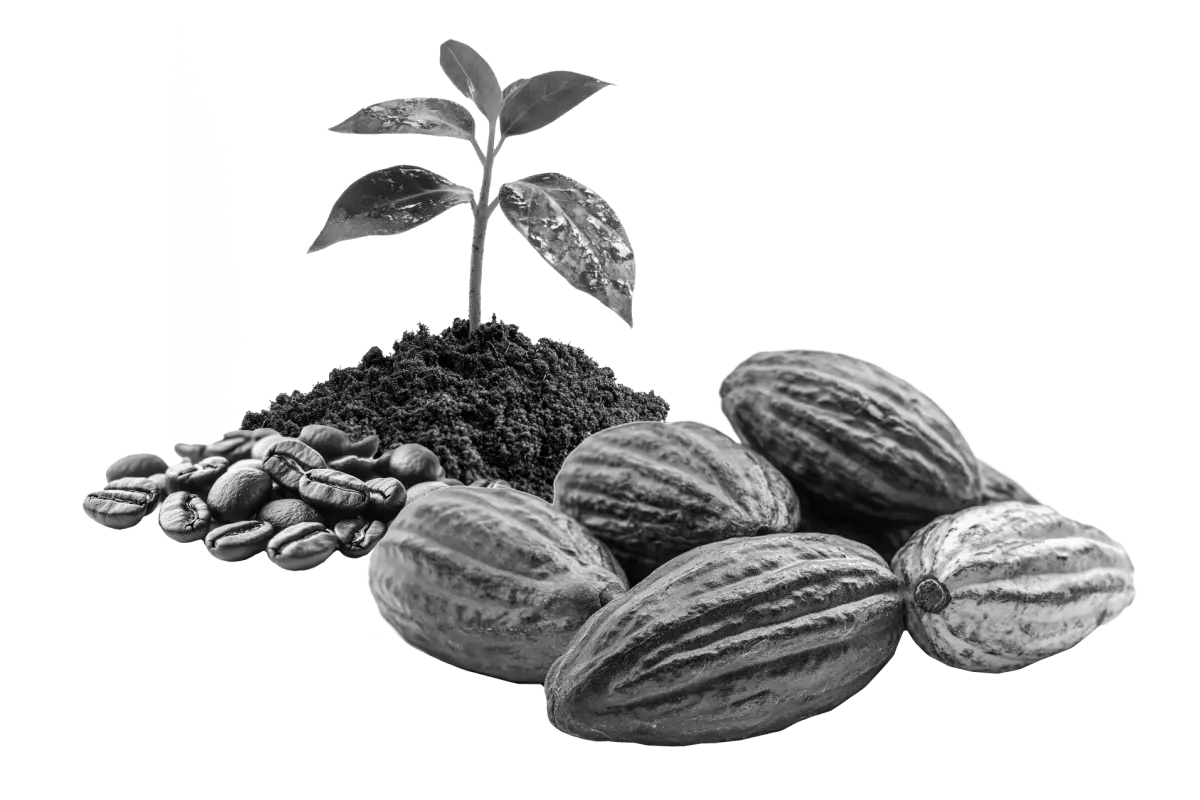 fmf_brochure_the return of real assets