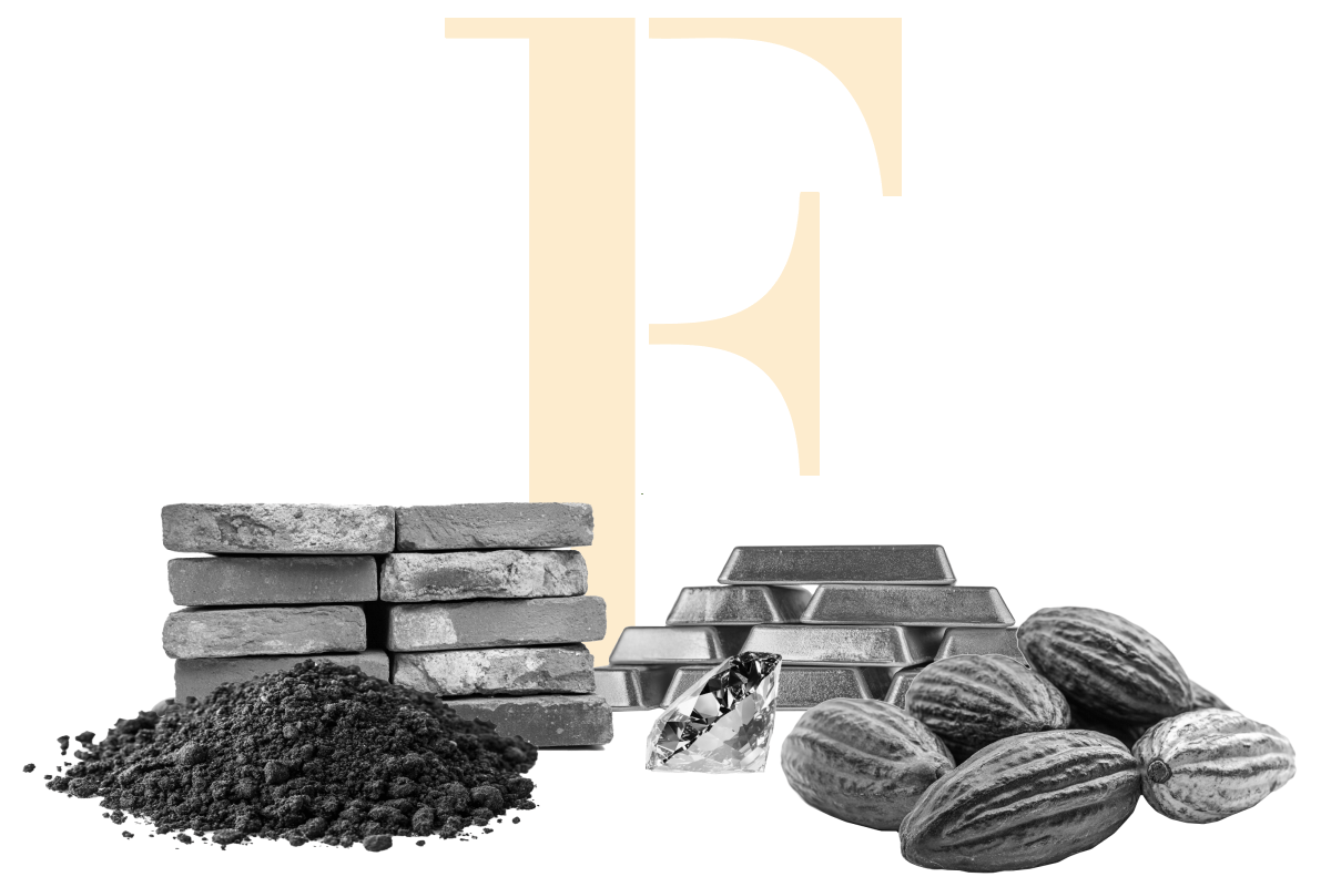 fmf_home page_The next big thing is lying right beneath your feet