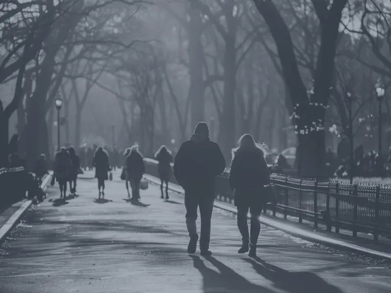 fmf_learn more_kanowledge hub_carbon projects