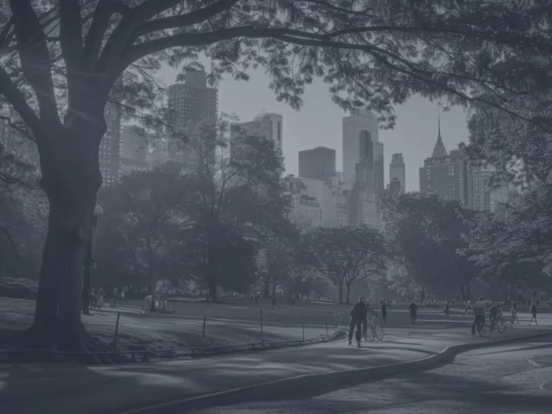 fmf_learn more_kanowledge hub_green inverstments