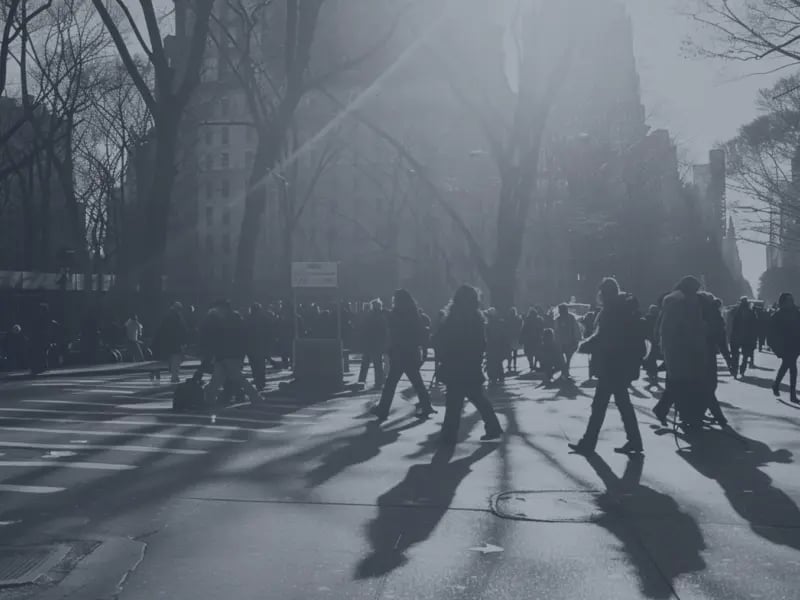 fmf_learn more_knowledge hub_sustainable impact